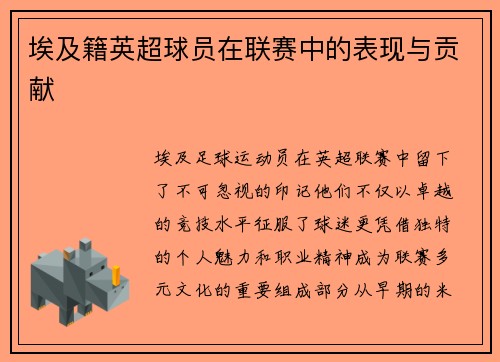 埃及籍英超球员在联赛中的表现与贡献
