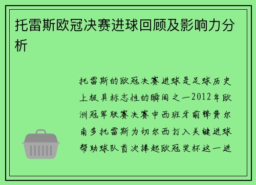 托雷斯欧冠决赛进球回顾及影响力分析